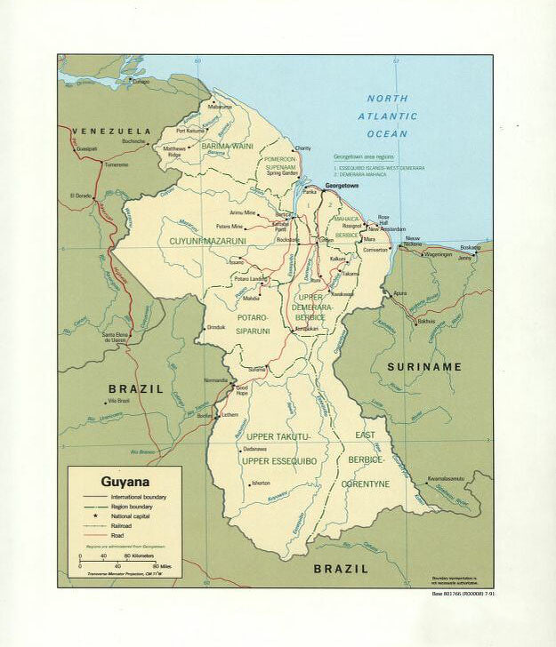 Map of Guyana Framed Push Pin Map