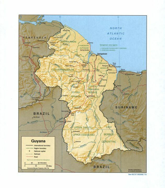 Map of Guyana Framed Push Pin Map