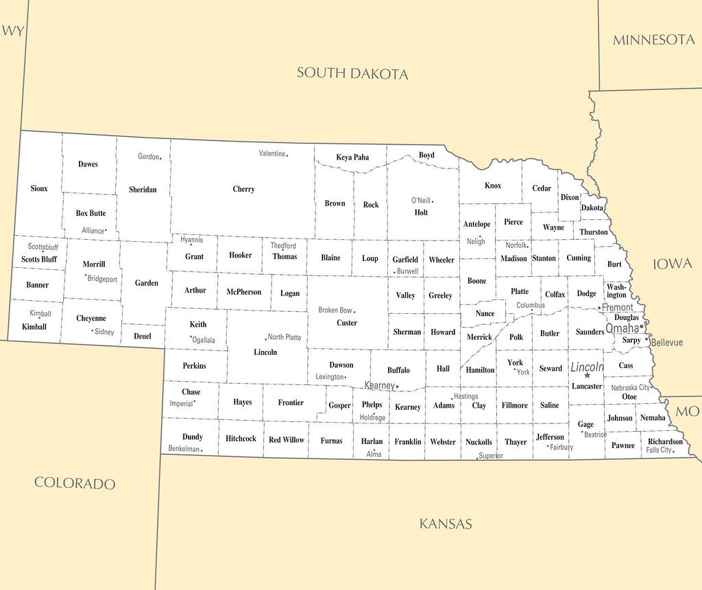 Map of Nebraska NE - County Map with selected Cities and Towns Framed Push Pin Map