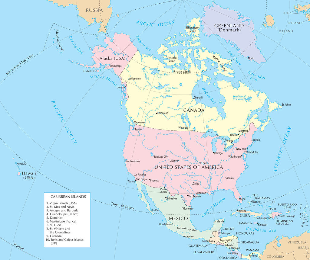 Map of General Reference Map of North America Framed Push Pin Map