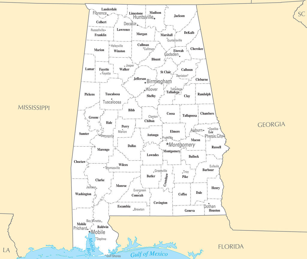 Map of Alabama AL - County Map with selected Cities and Towns Framed Push Pin Map