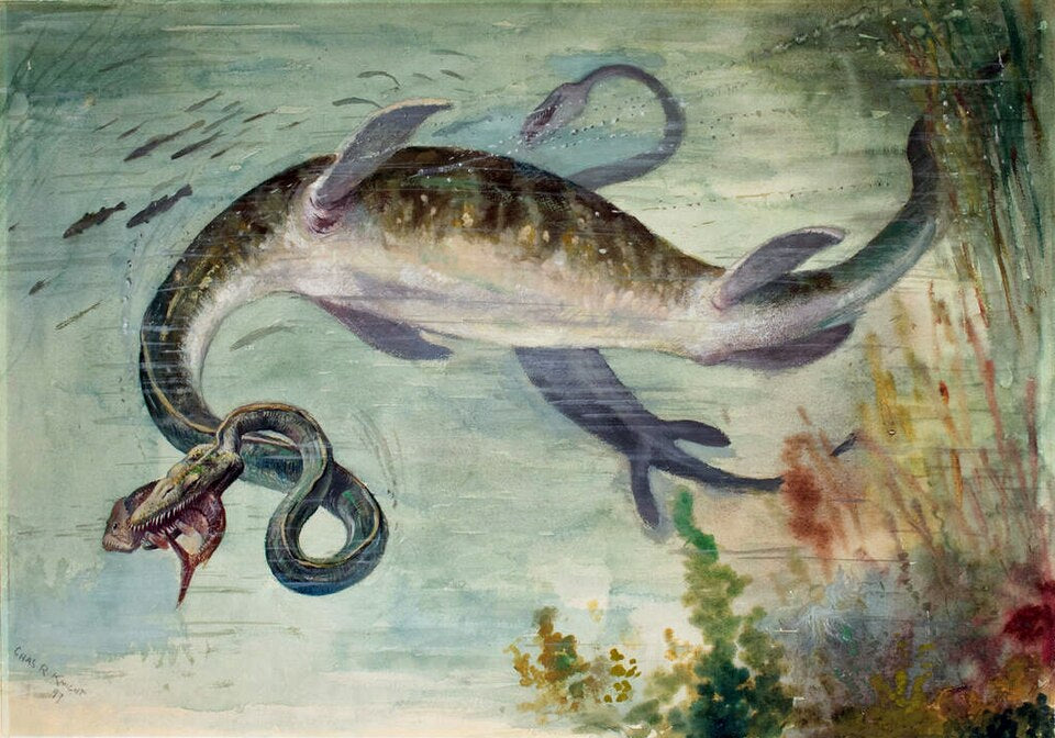 Charles R. Knight Snake-Necked Elasmosaurus - Hand Painted Oil Painting