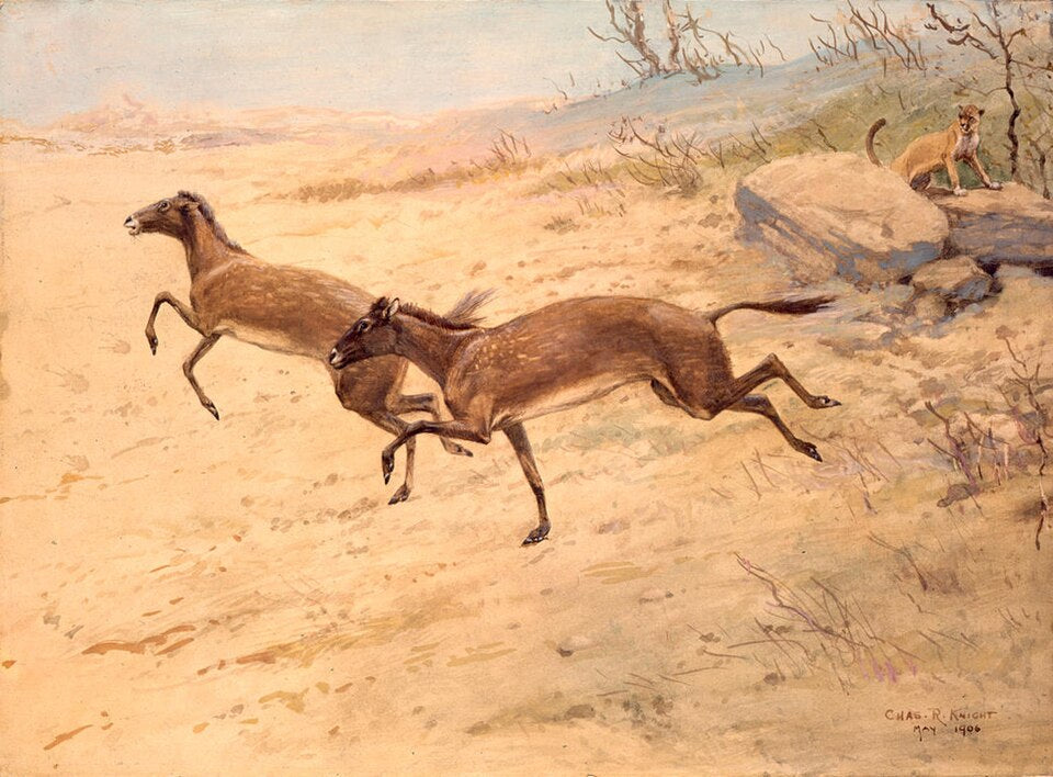 Charles R. Knight Mesohippus - Hand Painted Oil Painting
