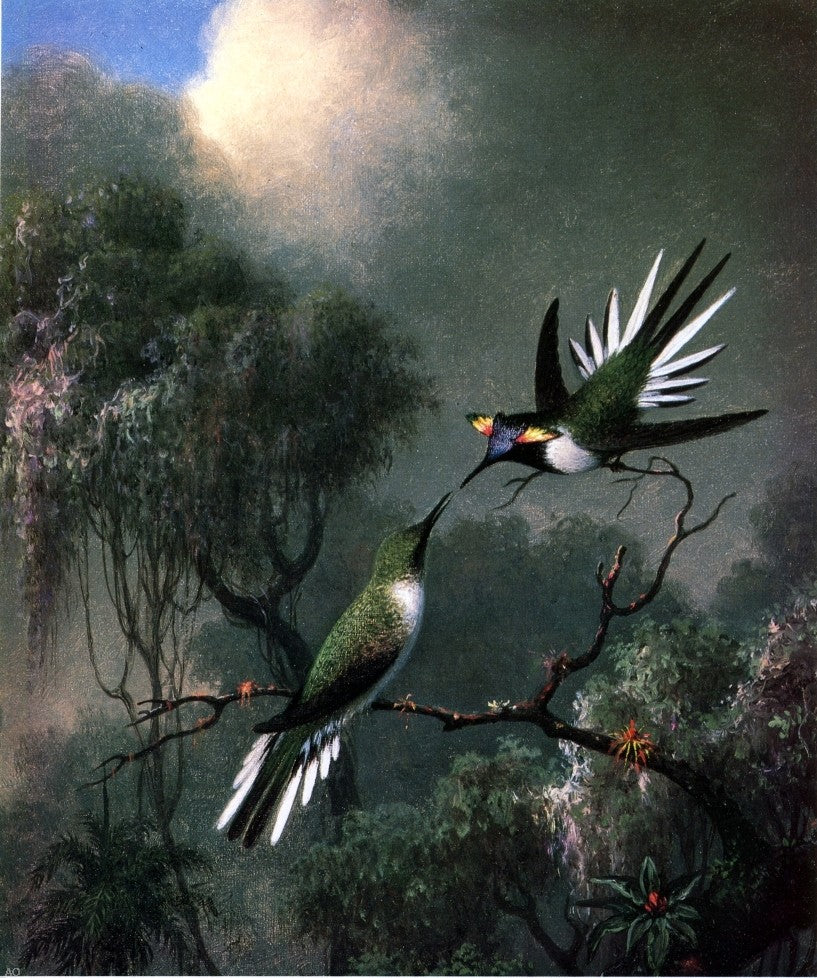 Martin Johnson Heade Two Hummingbirds ("Sun Gems", Heliactin Cormuta) - Hand Painted Oil Painting