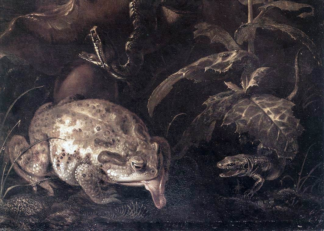 Otto Marseus Van Schrieck Still-Life with Insects and Amphibians (detail) - Hand Painted Oil Painting
