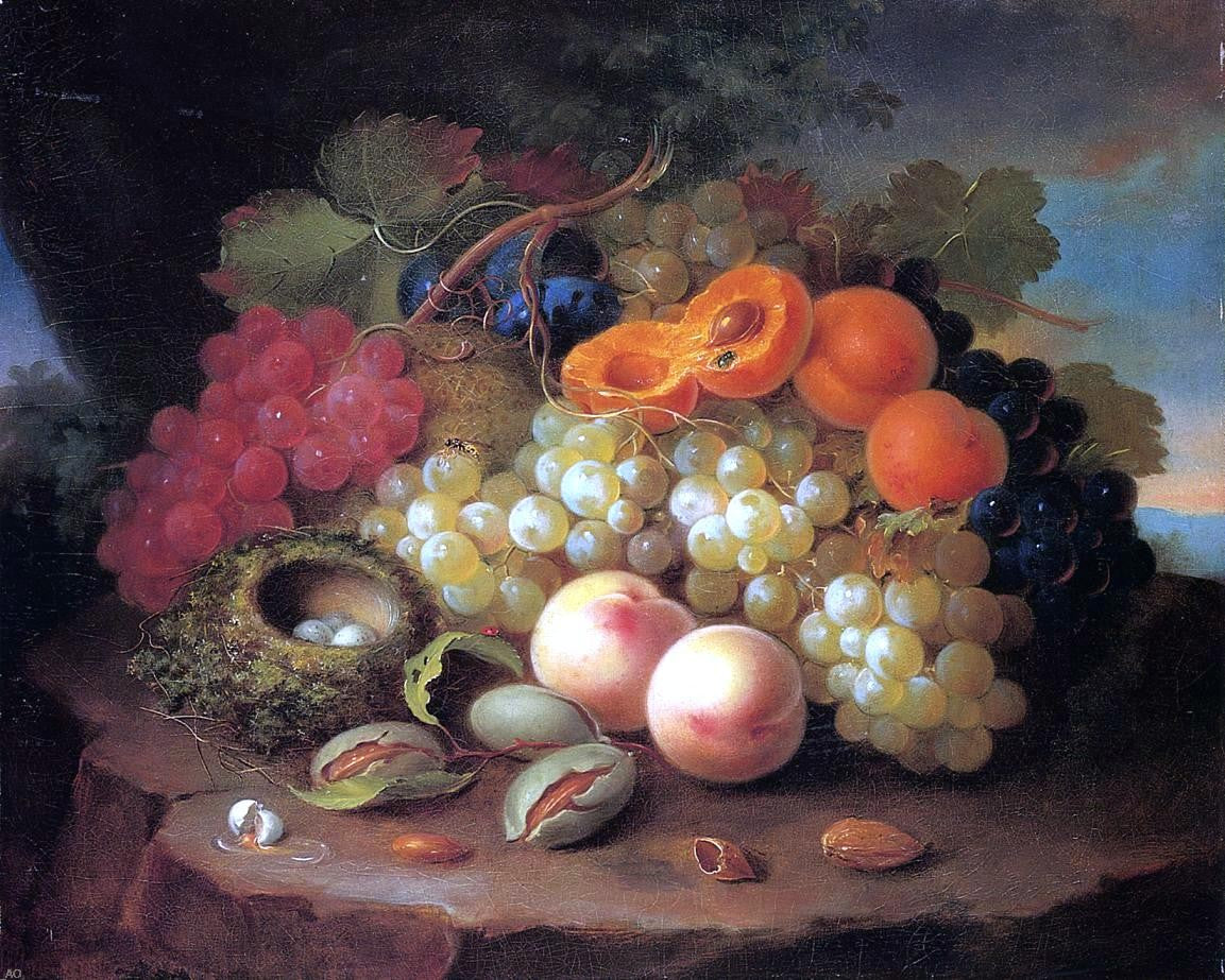 George Forster Still Life with Fruit and Bird's Nest - Hand Painted Oil Painting