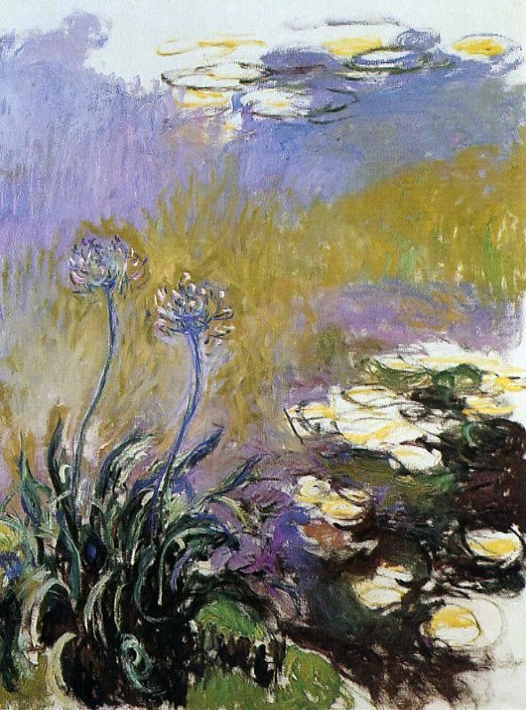 Claude Oscar Monet Agapanthus - Hand Painted Oil Painting