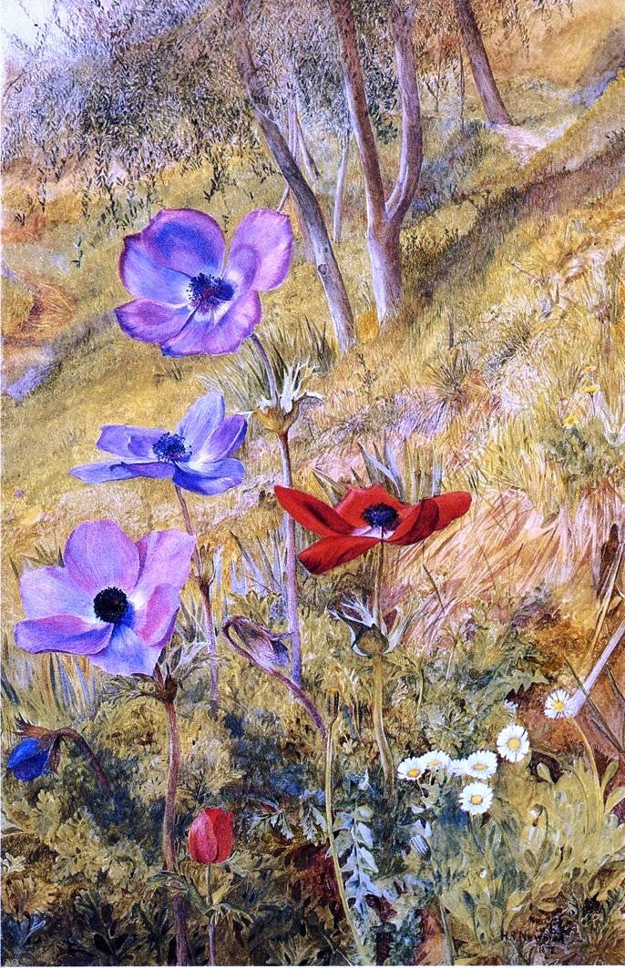 Henry Roderick Newman Anemones - Hand Painted Oil Painting