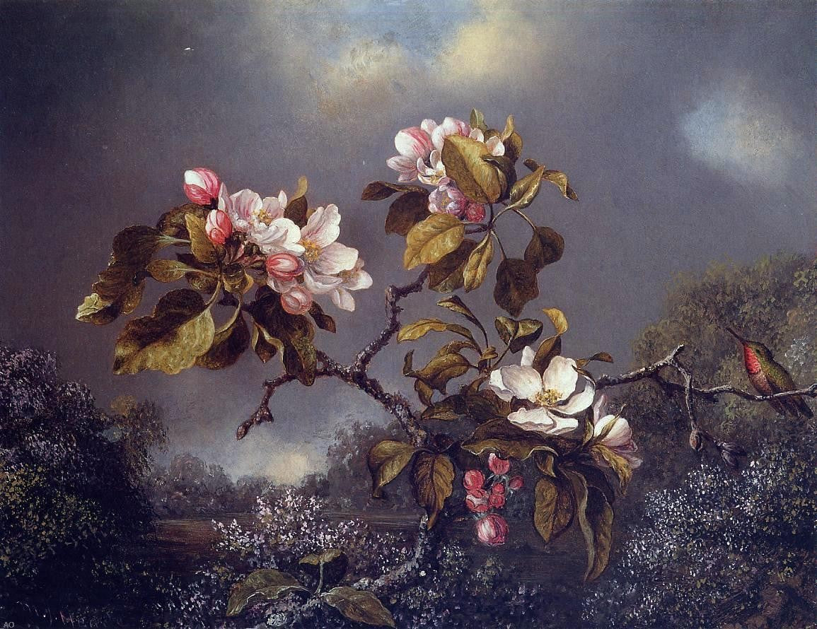 Martin Johnson Heade Apple Blossoms and Hummingbird - Hand Painted Oil Painting