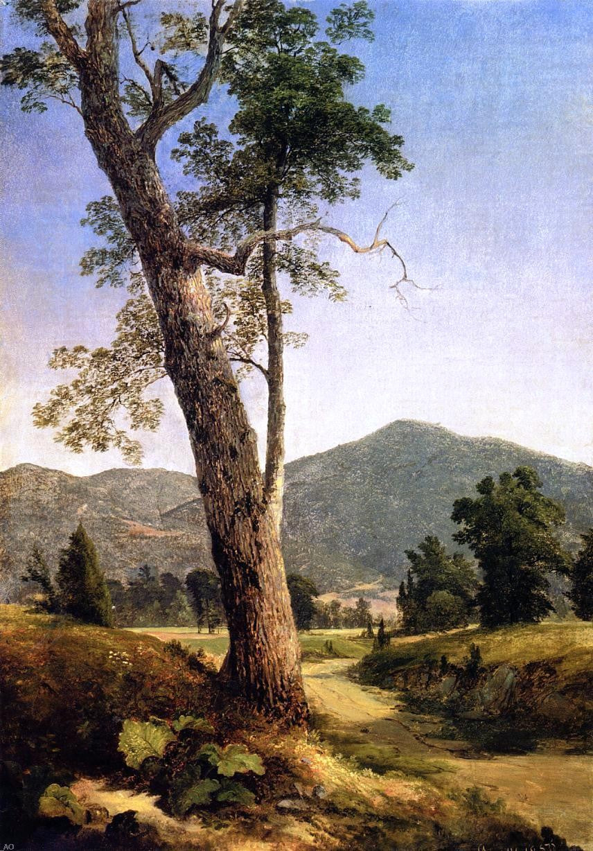Asher Brown Durand Mountain Vista - Hand Painted Oil Painting