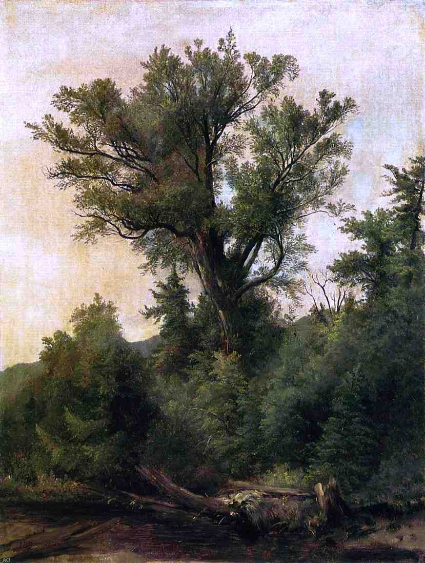 Asher Brown Durand A Stream in the Wood - Hand Painted Oil Painting