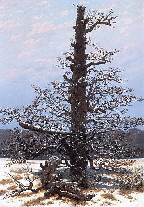 Caspar David Friedrich The Oaktree in the Snow - Hand Painted Oil Painting
