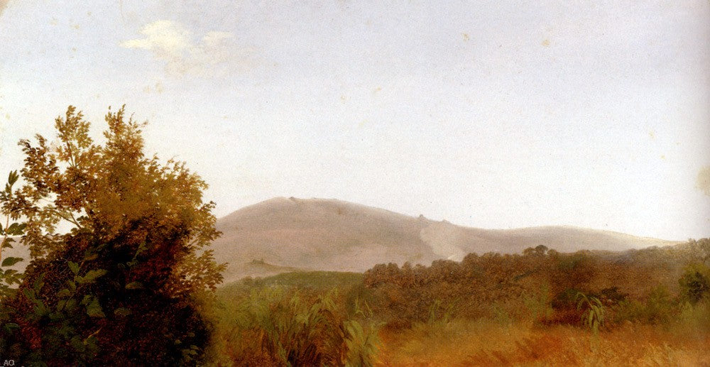 Giovanni-Battista Camuccini Ruins In The Forest - Hand Painted Oil Painting