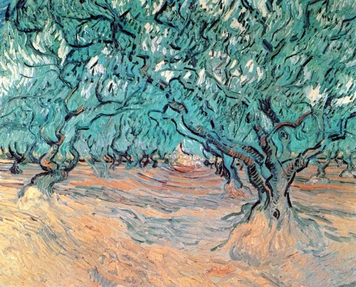 Vincent Van Gogh Olive Trees - Hand Painted Oil Painting