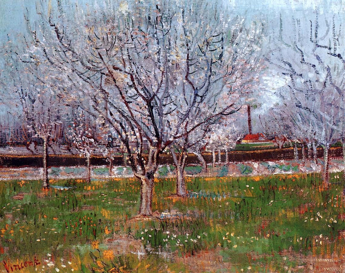 Vincent Van Gogh Orchard in Blossom (also known as Plum Trees) - Hand Painted Oil Painting