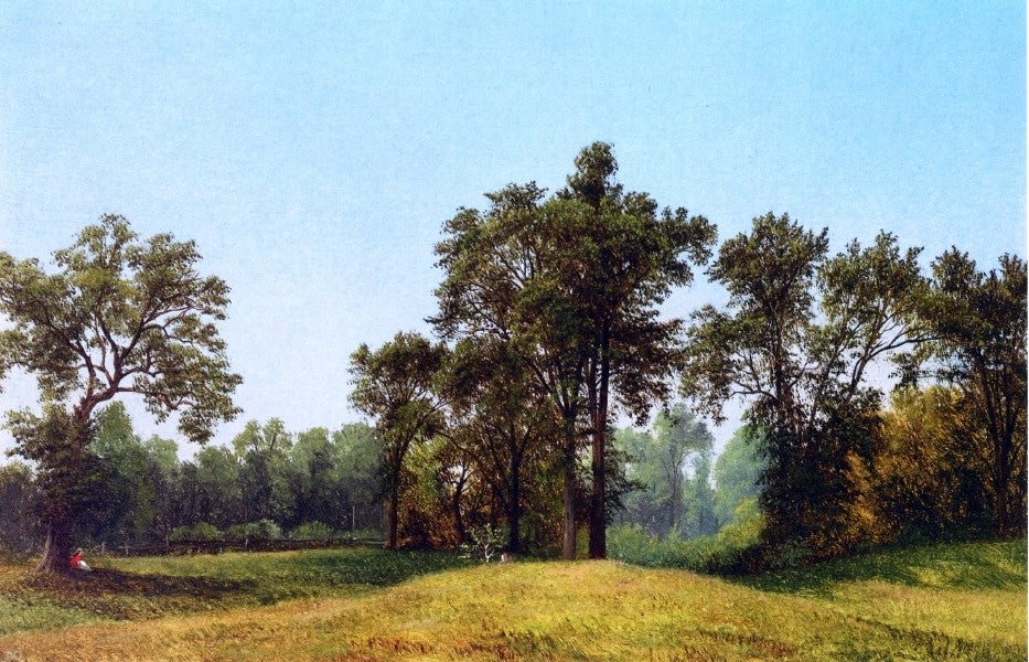 David Johnson Young Elms (also known as Mrs. David Johnson Sitting under a Tree) - Hand Painted Oil Painting