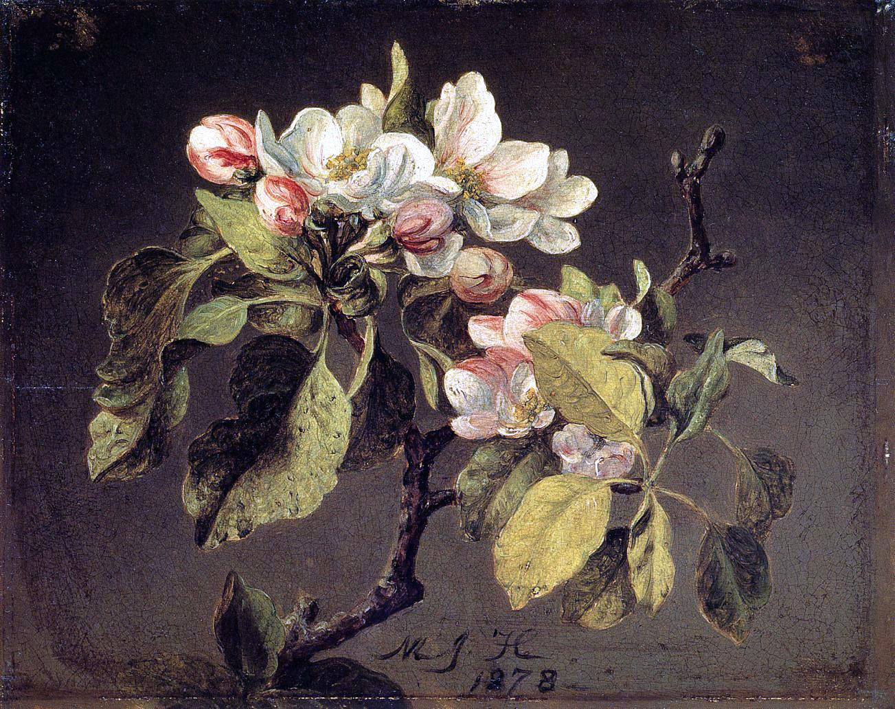 Martin Johnson Heade A Branch of Apple Blossoms and Buds - Hand Painted Oil Painting