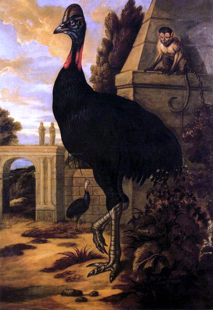 Francis Barlow A Cassowary - Hand Painted Oil Painting