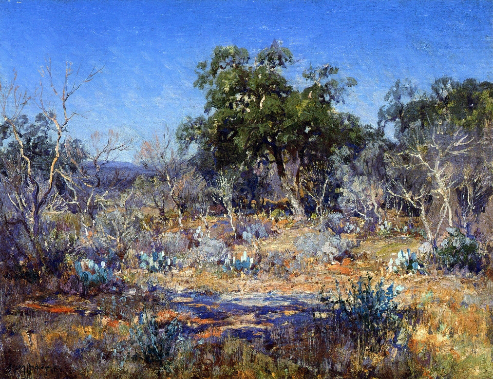 Julian Onderdonk A January Day in the Brush Country - Hand Painted Oil Painting