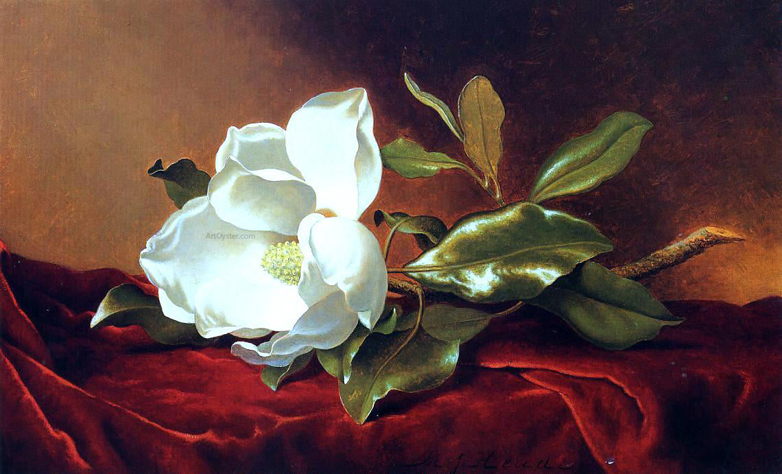 Martin Johnson Heade A Magnolia on Red Velvet - Hand Painted Oil Painting