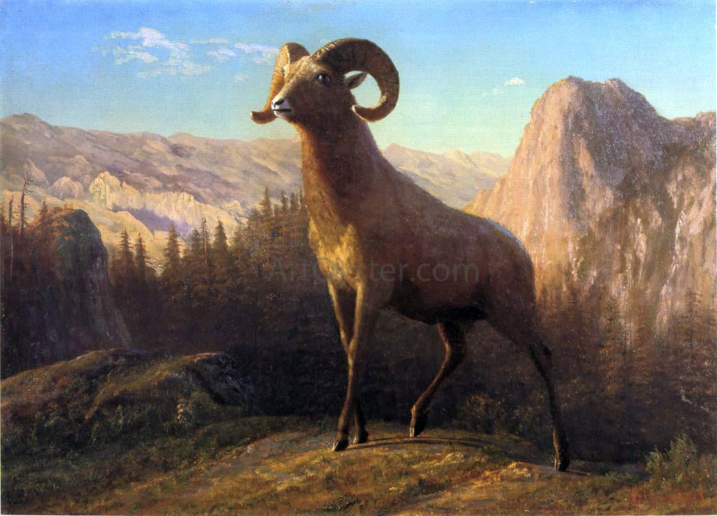 Albert Bierstadt A Rocky Mountain Sheep, Ovis, Montana - Hand Painted Oil Painting