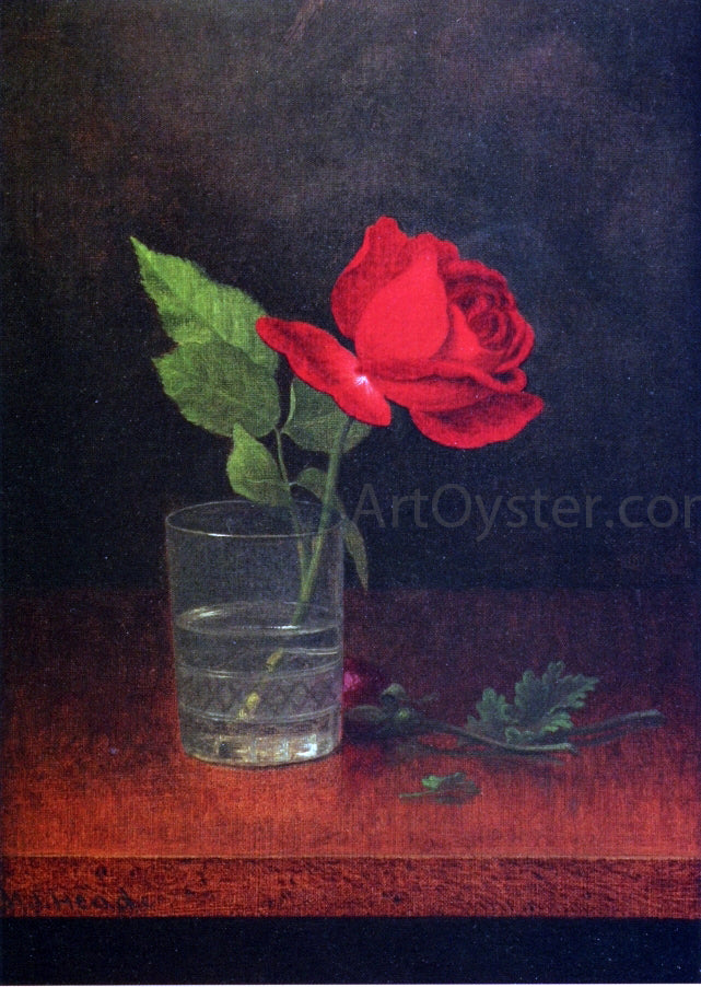 Martin Johnson Heade A Single Rose in a Glass - Hand Painted Oil Painting