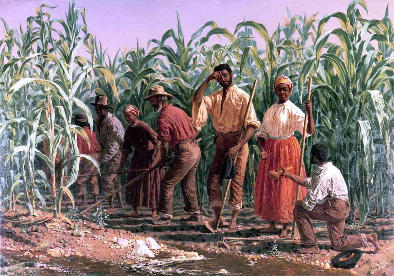 Thomas Waterman Wood A Southern Cornfield, Nashville, Tennessee - Hand Painted Oil Painting