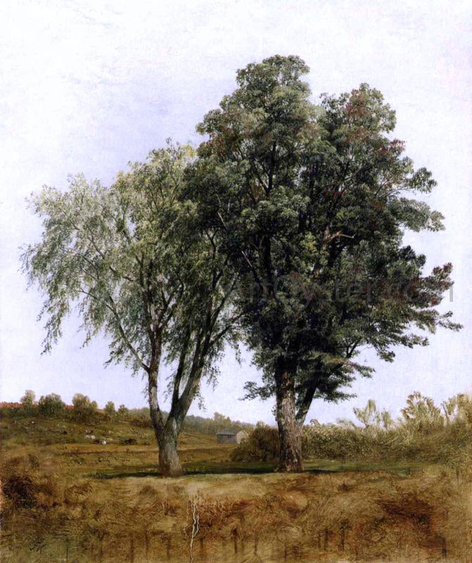 John Frederick Kensett A Study of Trees - Hand Painted Oil Painting