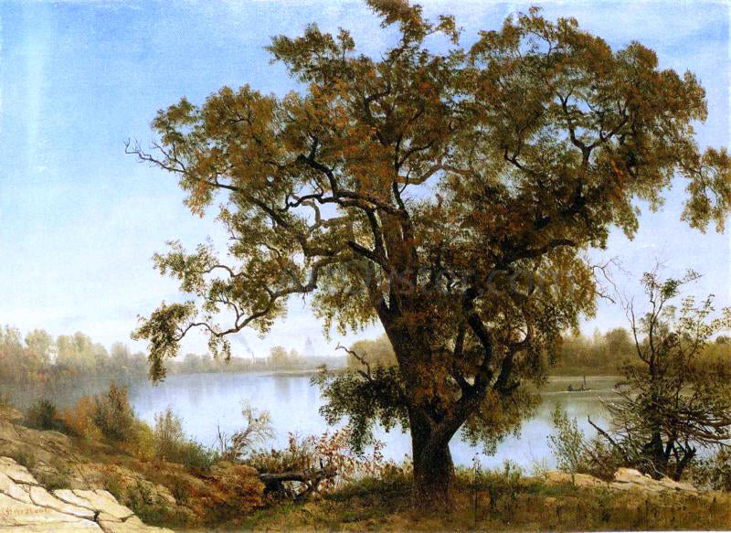 Albert Bierstadt A View from Sacramento - Hand Painted Oil Painting