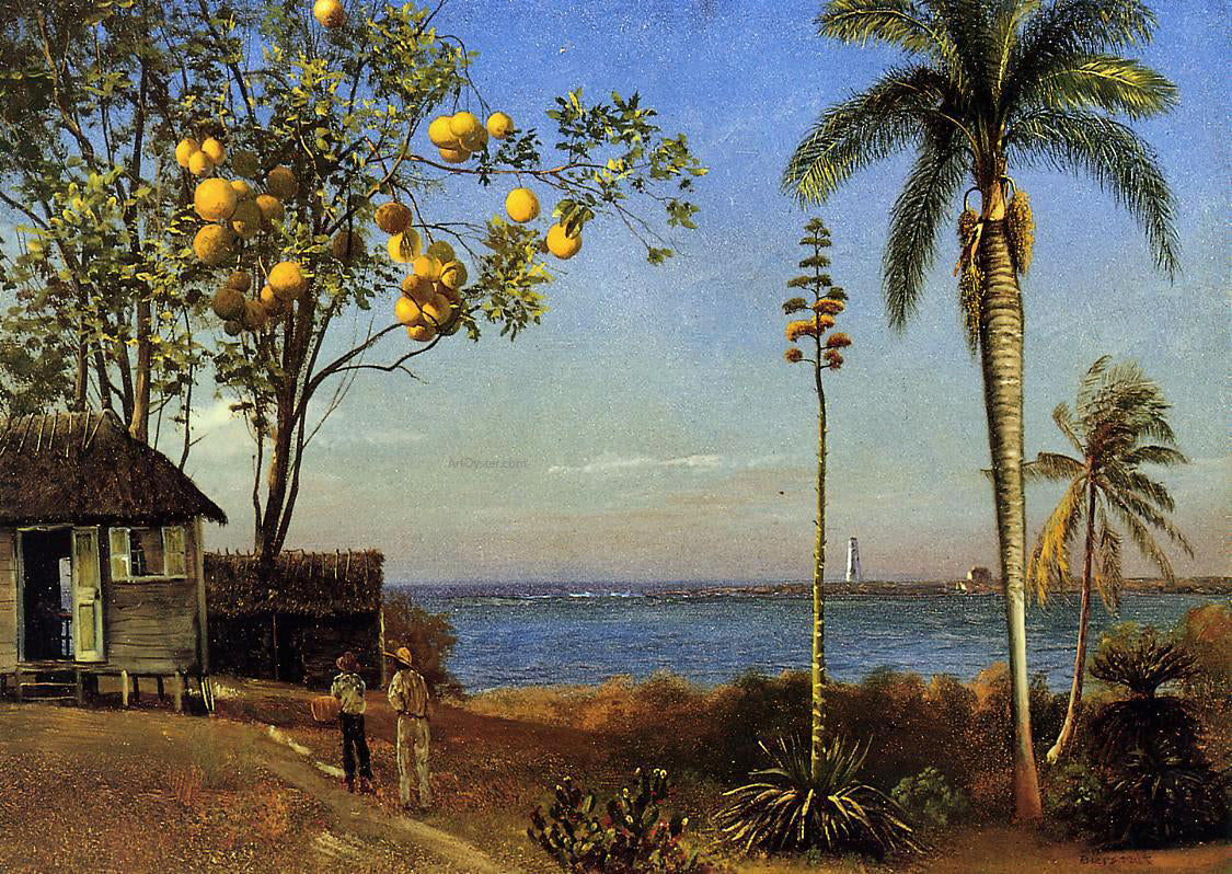 Albert Bierstadt A View in the Bahamas - Hand Painted Oil Painting