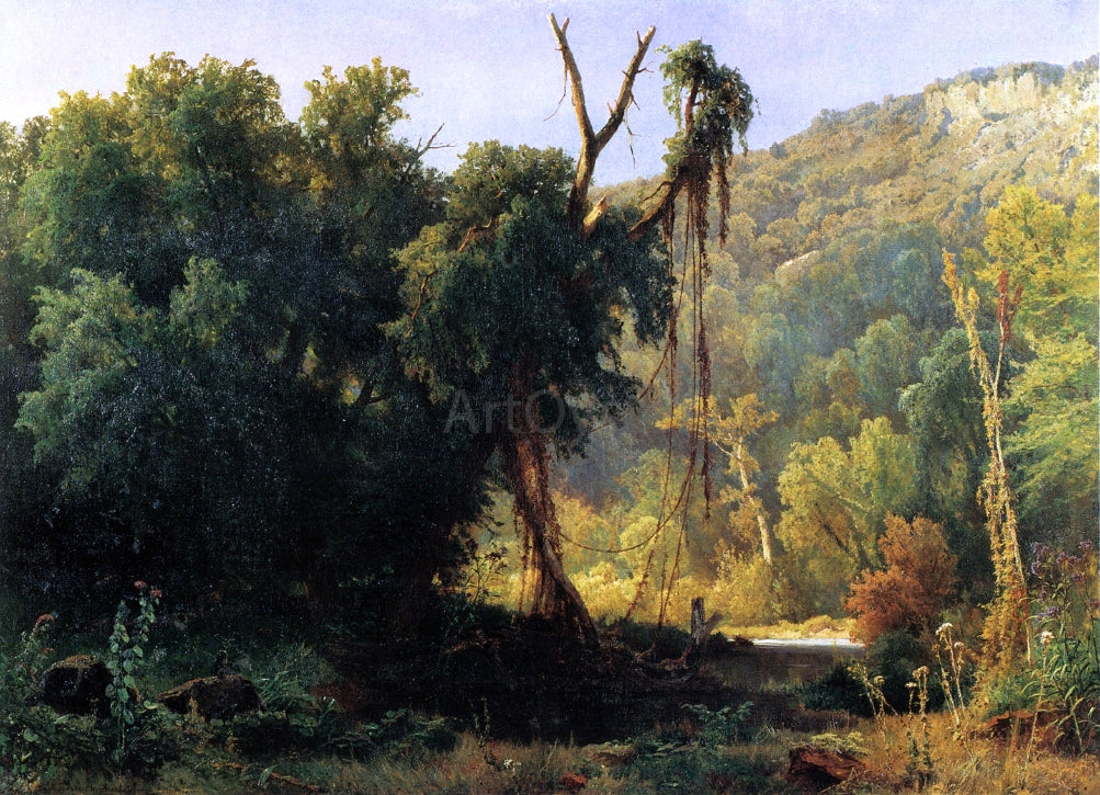 Jacobus Nicolaas Tjarda Starckenborgh Van Stachouwer A West Virginia Forest - Hand Painted Oil Painting