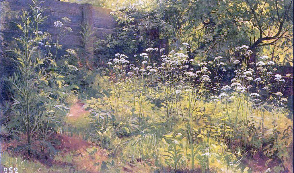 Ivan Ivanovich Shishkin Aegopodium, Pargolovo (etude) - Hand Painted Oil Painting