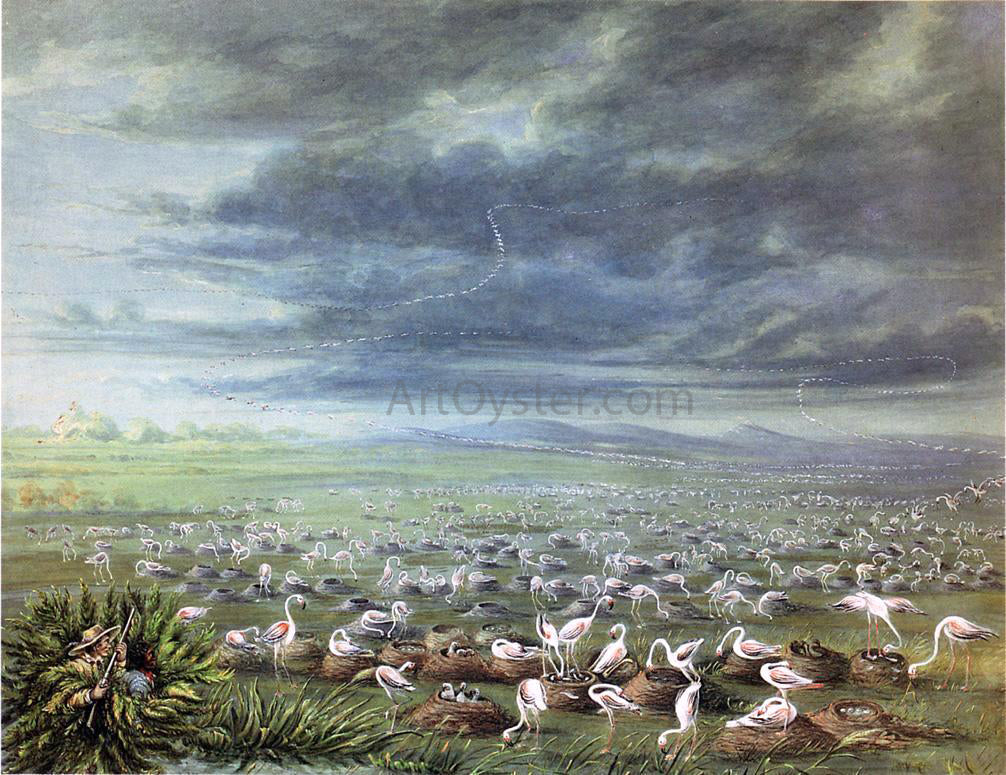 George Catlin Ambush for Flamingos in South America - Hand Painted Oil Painting