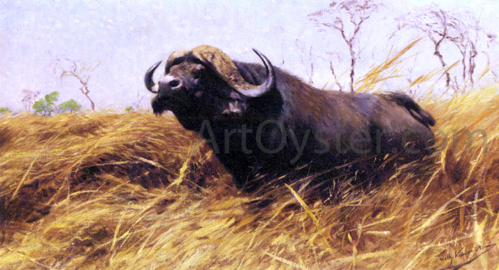 Wilhelm Kuhnert An African Buffalo - Hand Painted Oil Painting
