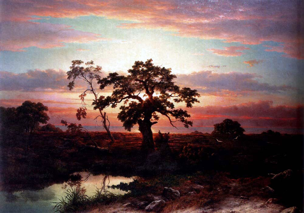  Louwrens Hanedoes An Oak In An Extensive Coastal Landscape At Dusk Near Le Havre - Hand Painted Oil Painting
