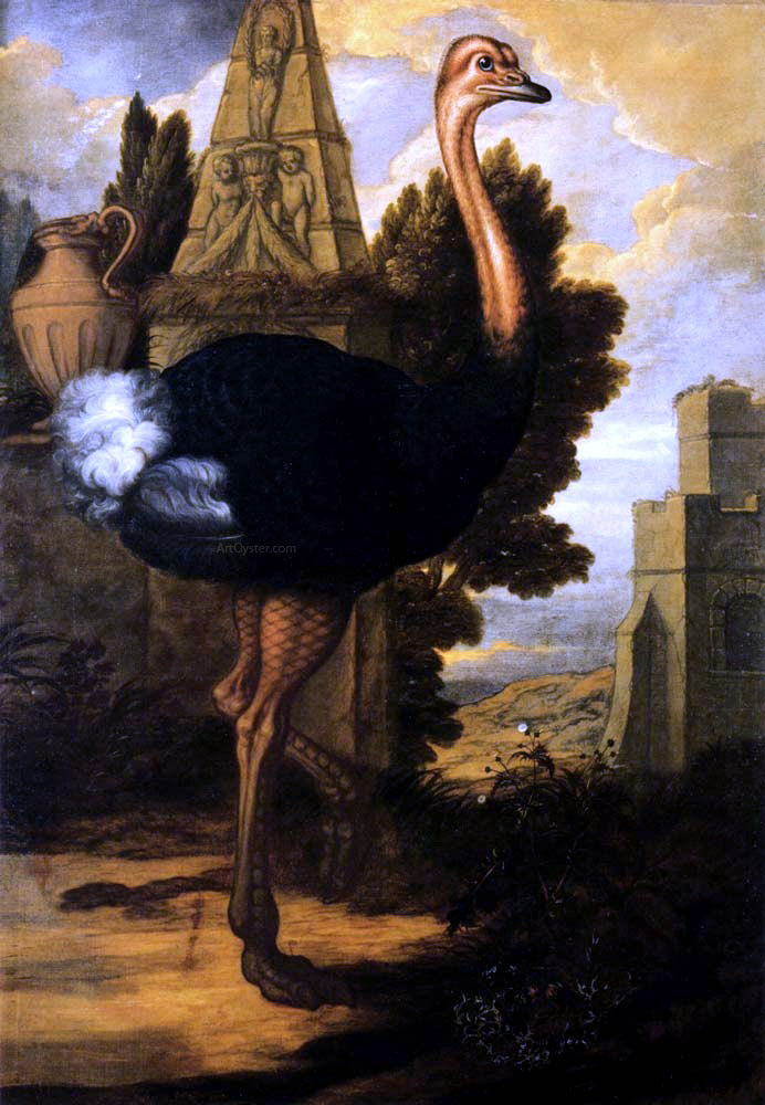 Francis Barlow An Ostrich - Hand Painted Oil Painting