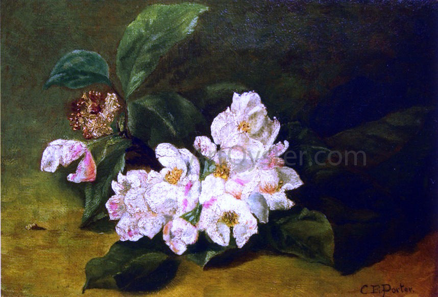 Charles Ethan Porter Apple Blossoms on a Ledge - Hand Painted Oil Painting