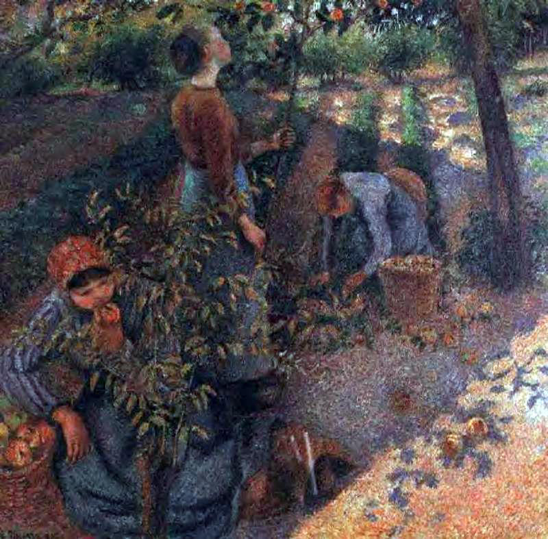 Camille Pissarro Apple Picking - Hand Painted Oil Painting