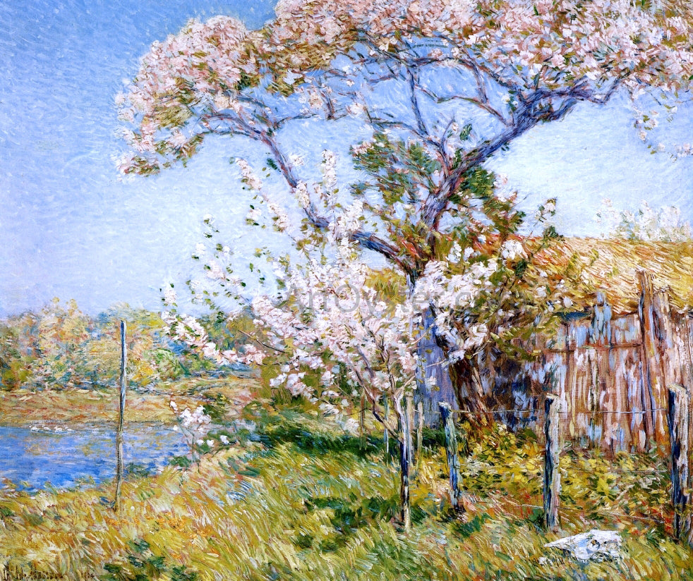  Frederick Childe Hassam Apple Trees in Bloom, Old Lyme - Hand Painted Oil Painting