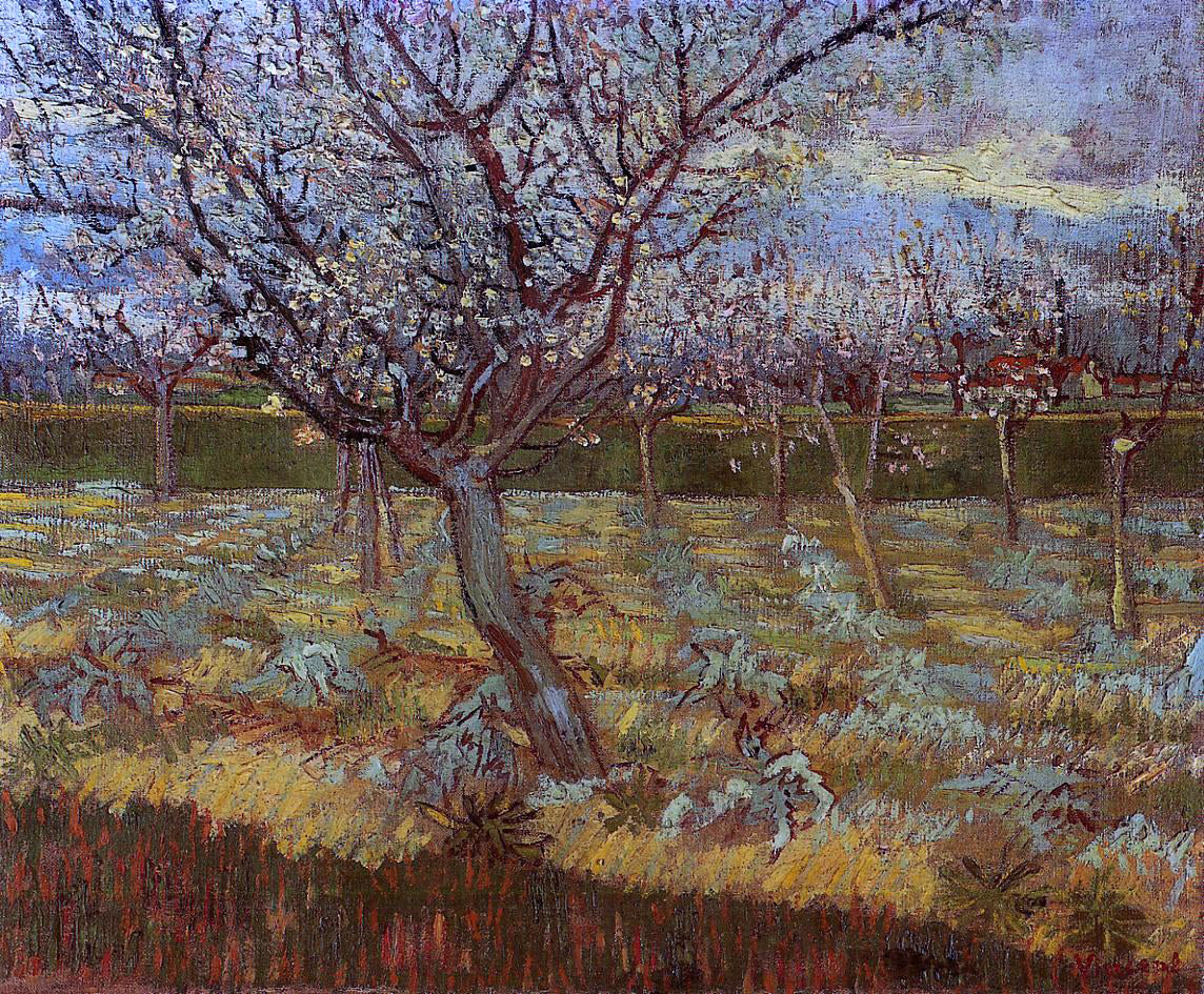 Vincent Van Gogh Apricot Tree in Bloom - Hand Painted Oil Painting