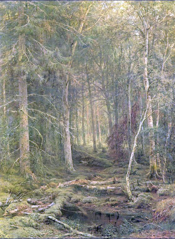 Ivan Ivanovich Shishkin Backwoods - Hand Painted Oil Painting