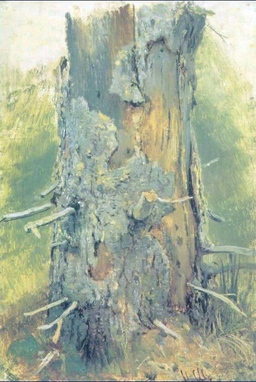  Ivan Ivanovich Shishkin Bark on dry up tree (etude) - Hand Painted Oil Painting