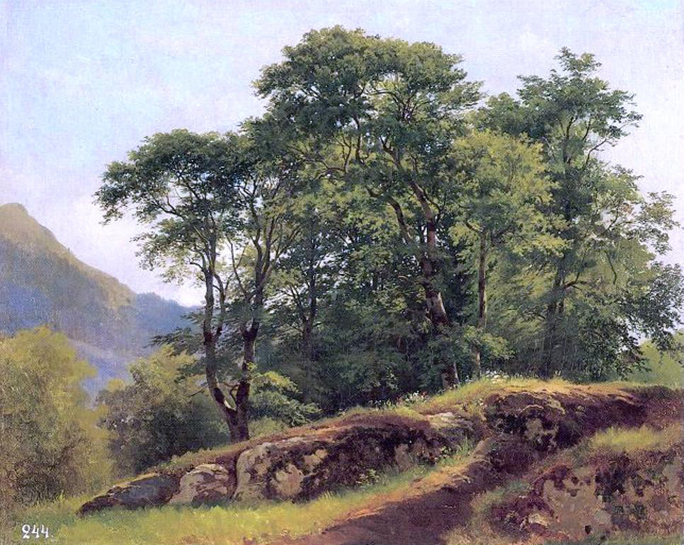 Ivan Ivanovich Shishkin Beech Forest in Switzerland - Hand Painted Oil Painting