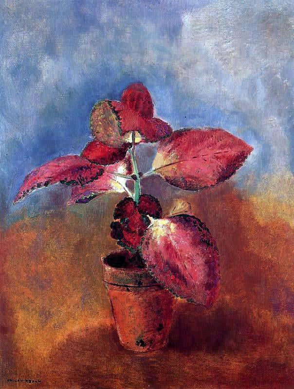Odilon Redon Begonia in a Pot - Hand Painted Oil Painting