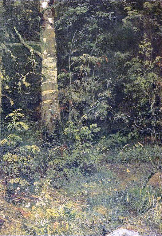 Ivan Ivanovich Shishkin Birch and Pocks (etude) - Hand Painted Oil Painting