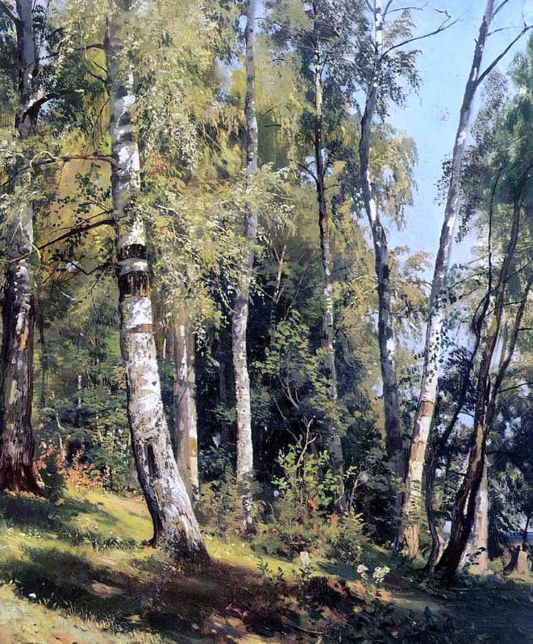Ivan Ivanovich Shishkin Birch Grove - Hand Painted Oil Painting