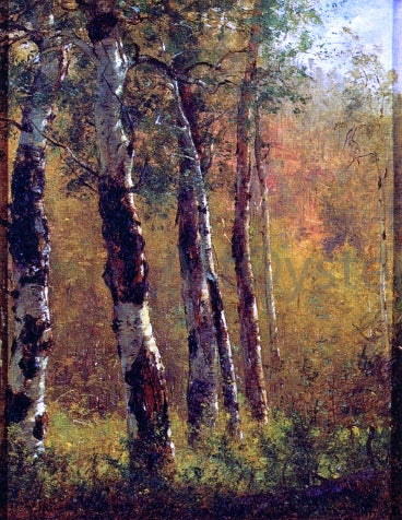  Thomas Worthington Whittredge Birch Trees - Hand Painted Oil Painting