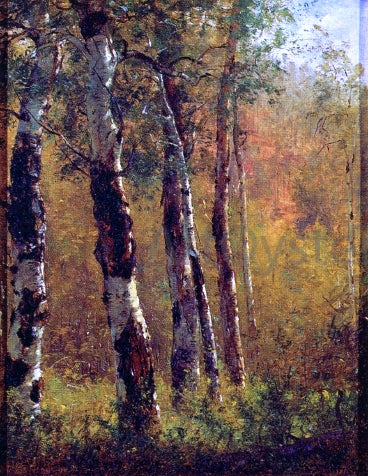 Thomas Worthington Whittredge Birch Trees - Hand Painted Oil Painting
