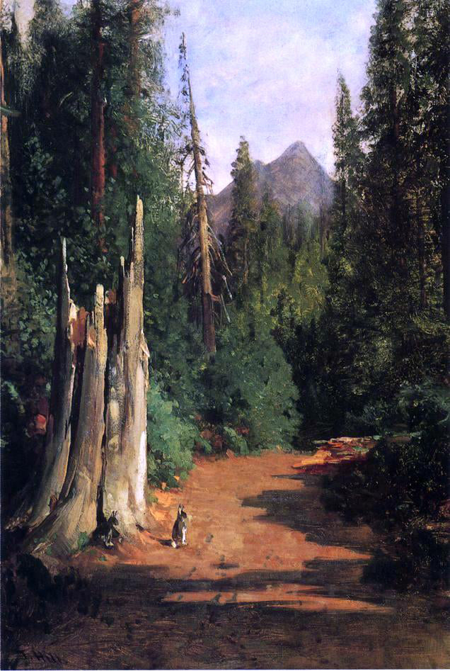 Thomas Hill Black Butte, Mount Shasta - Hand Painted Oil Painting