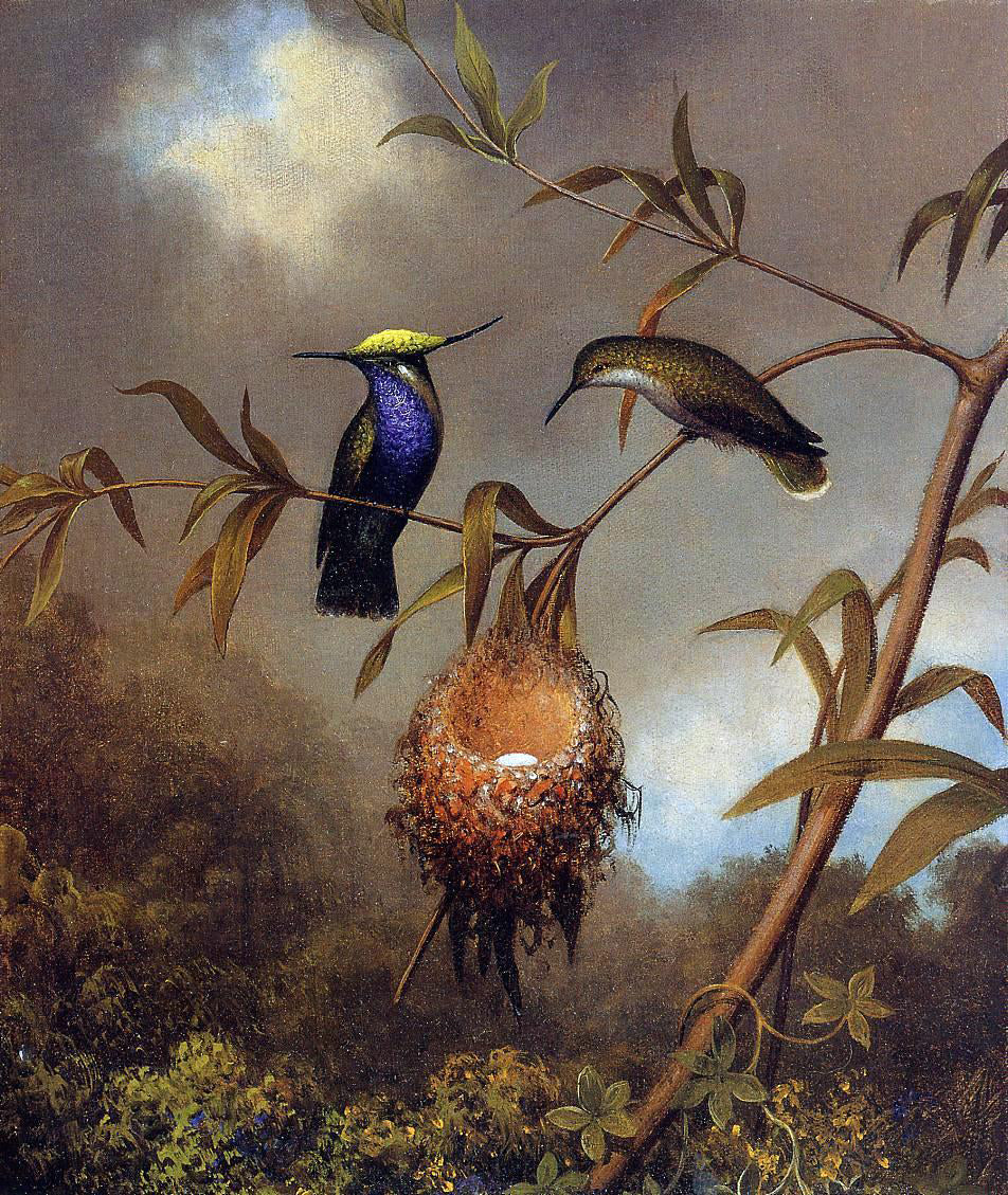 Martin Johnson Heade Black-Breasted Plovercrest - Hand Painted Oil Painting